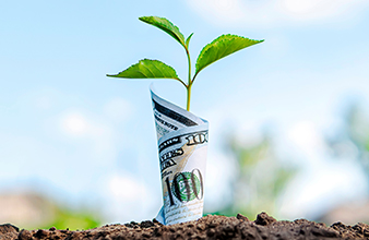 Asaan Remitance Savings Account
