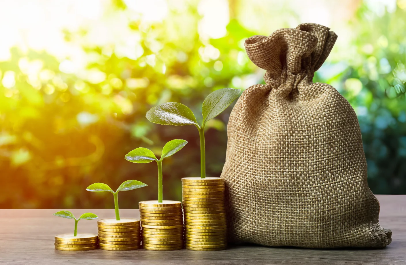Bank Alfalah Quick Finance Thumb