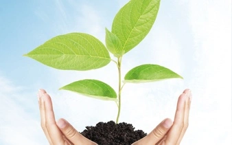 Kamil Savings Plan Convert Xkxvnaw.io