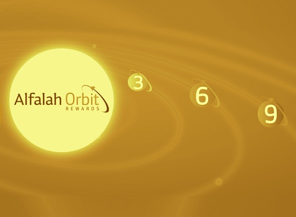 Website Banner 38 Premier Main Banners Orbit Rewards H7reayq Thumb