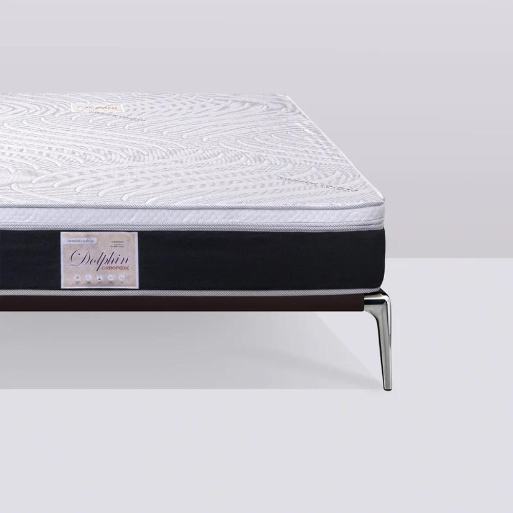 Cannon Dolphin Chiropadic