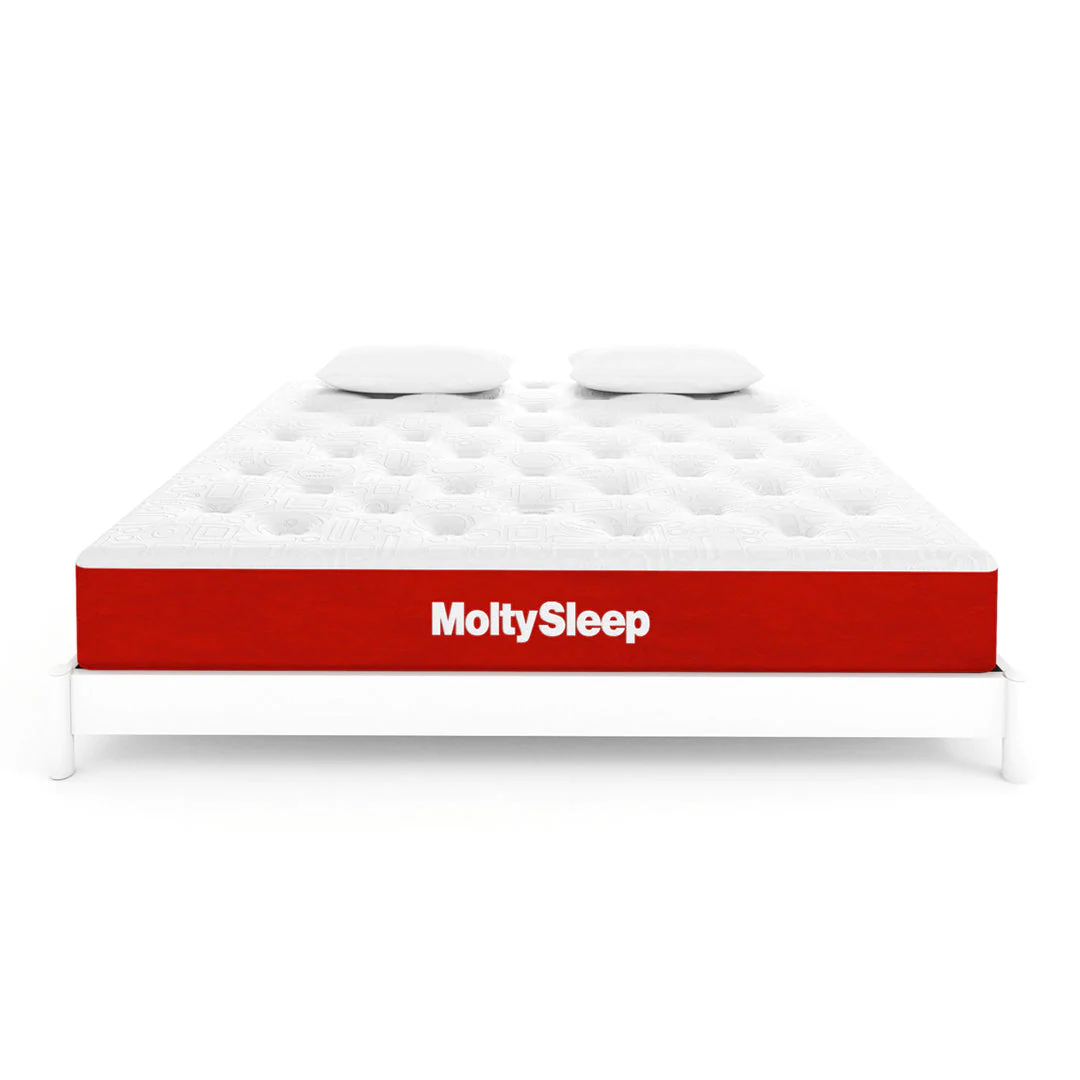 Molty Sleep