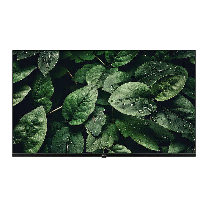 Pel Led Tv 43 Full Hd Google Certified Bezel Less Qzmgv1j