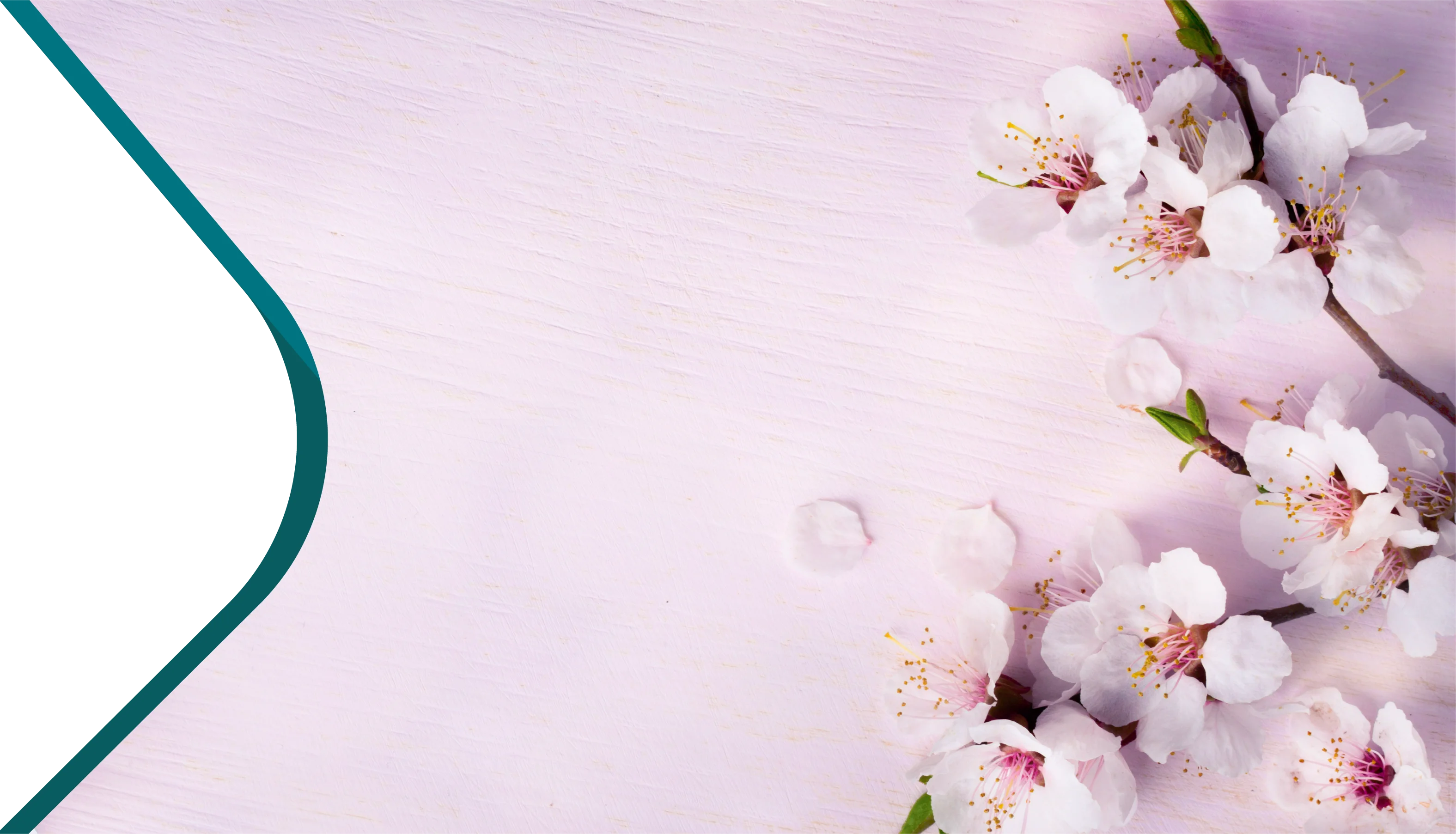 Alfalah Islamic Women Account Banner