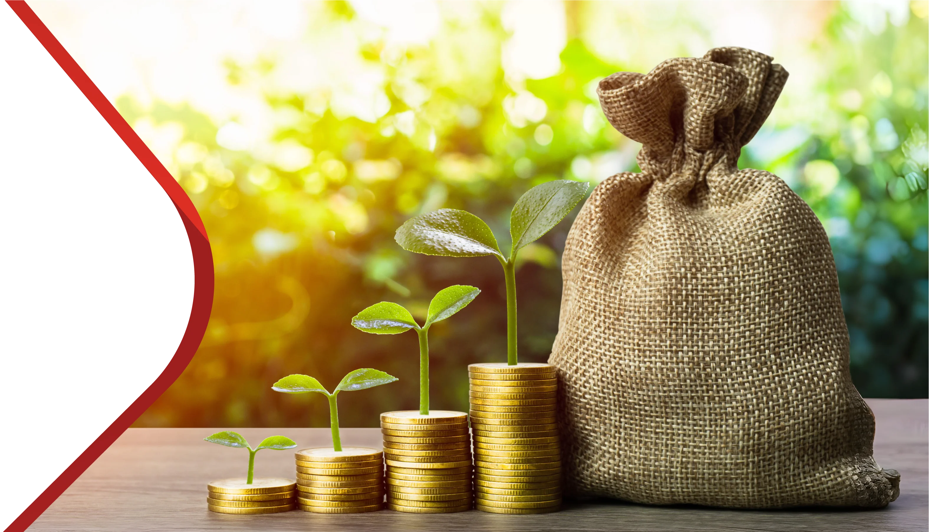 Bank Alfalah Quick Finance Banner