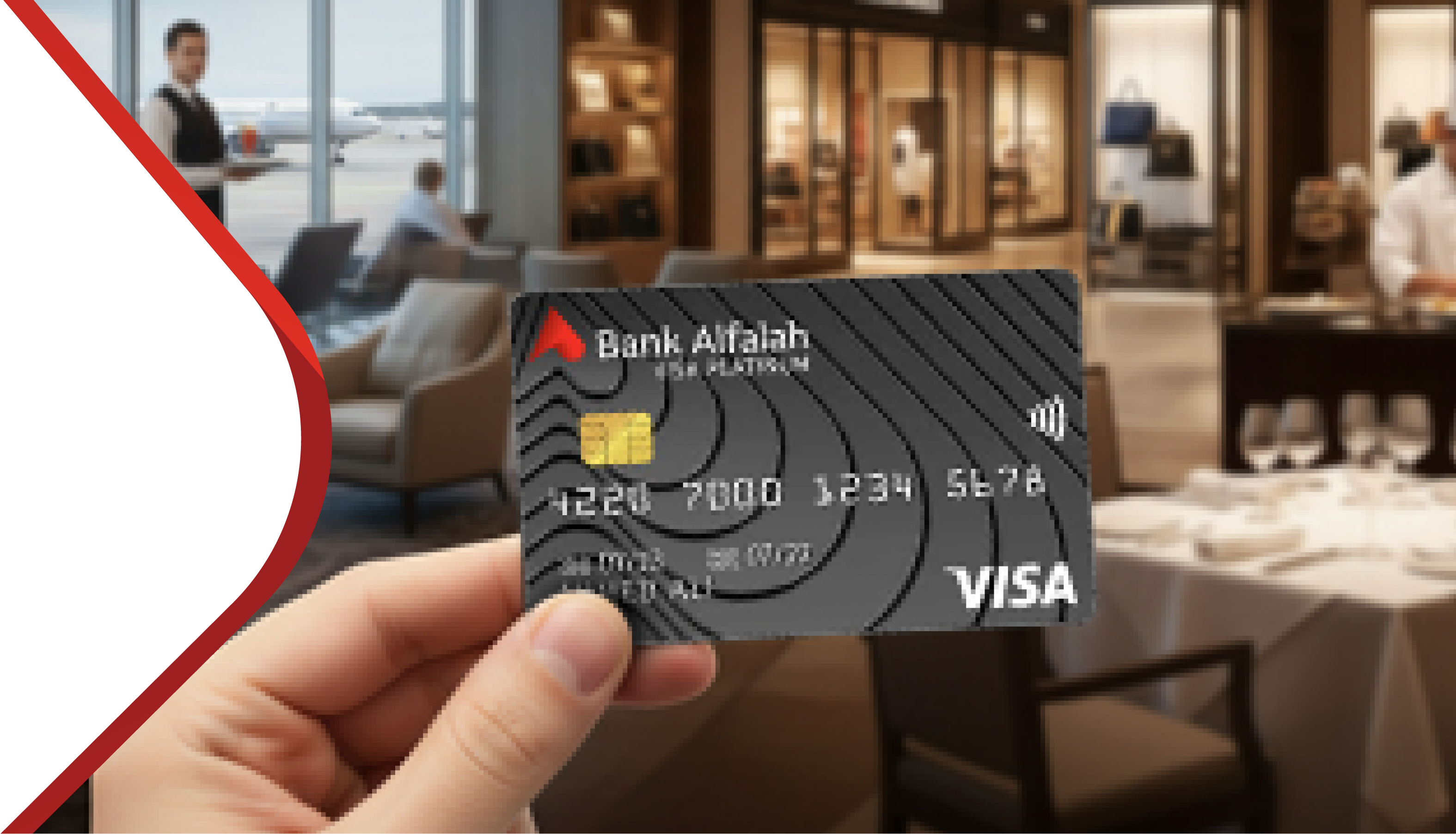 Visa Previlidges 2a