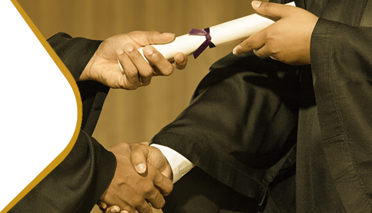 Website Banner 38 Premier Main Banners Danish Education Plan Bpig045