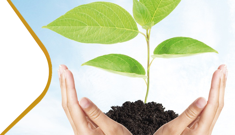 Website Banner 38 Premier Main Banners Zaamin Takaful Plan